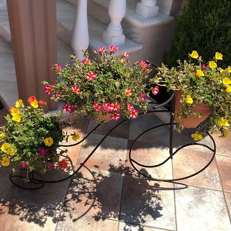 Hotel de apartamente Mary 1 & Fresh! Skala Sotiros