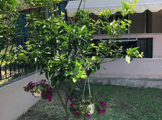 Mary 1 & Fresh! 3* Σκάλα Σωτήρος