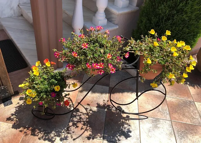 Ξενοδοχείο με διαμερίσματα Mary 1 & Fresh! Σκάλα Σωτήρος